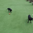 아임버디 이미지