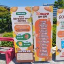 오블랑쉬 | 서울 빵축제 송파 가락몰에서 열리는 제3회 전국 빵지자랑 방문 후기