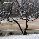 석천공원 이미지