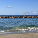 울진생선구이 이미지