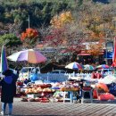 대둔산목장 이미지