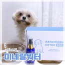 배변냄새제거에 탁월한 강아지영양제 엠비엠 반려견 반려수