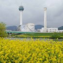 양산천변 이미지