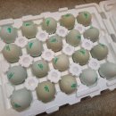 우프동물농장 이미지