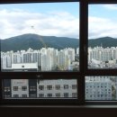 좌동 더마트 앞 네이버블로그