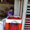 수성농장 이미지