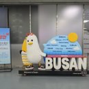 부산 하모 회 샤브샤브 6월 7월 제철회 부산 연산동 횟집 남해회관