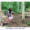 새사랑어린이집 이미지