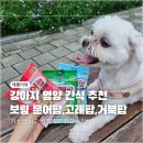 다이소 강아지 간식 추천,보령컨슈머헬스케어 문어팝,고래팝,거북팝