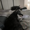 청한약국 이미지