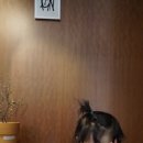 엄마랑 그림책 놀이(1기) 이미지