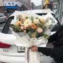 플랑떼플레르 이미지