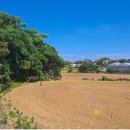 수원-1570 이미지