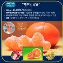 용산2농장 네이버블로그