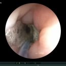 다올동물병원 이미지