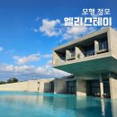 픽스테이 보령 엘리스테이 모행카페 풀파티 정모 후기
