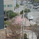 세종그랑시아공인중개사사무소 이미지