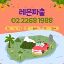 레몬직업소개소 - 서귀포시 | 레몬직업소개소