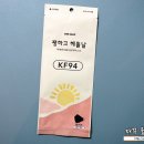 쨍하고 해뜰날 블랙 마스크 후기 사이즈 및 발색 by 번창디앤피