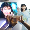 원이네민박 이미지