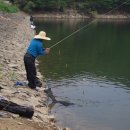 민물 새우낚시 이미지