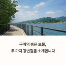 하동 섬진강변길 | 섬진강 자전거길 vs 대나무숲길 비교 후기