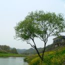 청솔가든 - 북구 석곡로 578 | 청솔가든