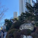 고잔고 사거리 (양지마을 아파트 쪽) | 아파트 둘중 미래가치 아파트는 어떤걸까요분당 임장...현대,양지마을청구,파크타운, 한솔마을) 1...