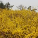 순리대로 이미지