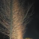 논산시민공원 이미지