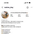 나드리독 이미지