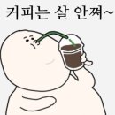 디스플레인 이미지
