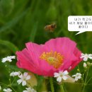 안성사랑공인중개사사무소 이미지