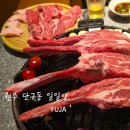 쪼끼쪼끼단구 | 원주 단구동 일일양 : 5번 재방문 내돈내산 양갈비 양고기 맛집