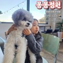 몽몽정원 이미지