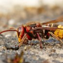 간호연구및통계 | 간호조무사 카페, 구인, 후기 찾아보기