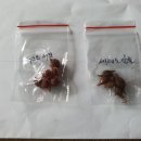 새한약국 이미지