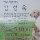 반려견과 더불어 사는 법 이미지