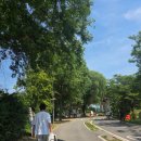 강서한강공원 피크닉, 주차장, 주차요금, 텐트, 편의점, 후기