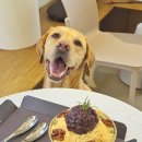 홈카페 브런치 B 이미지