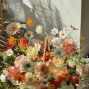 헤디온