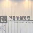 이룸병원 이미지