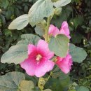 일자산1체육관 화장실 이미지