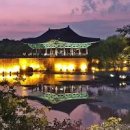 경주 Daum카페