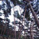 지리산생태탐방원
