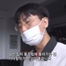 하루참치 이미지