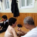 완도8호 이미지