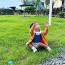 단단한림 이미지