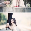 비비드스튜디오 이미지