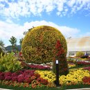 순천만국가정원 이미지